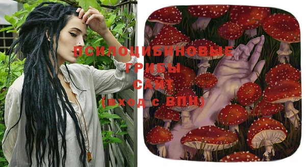 винт Болотное