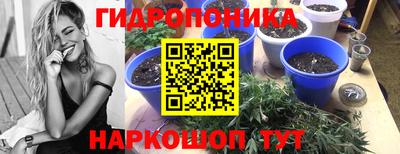 сатива Кумертау