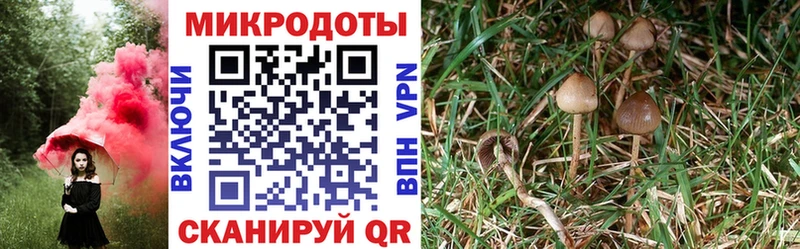 Псилоцибиновые грибы мухоморы  нарко площадка телеграм  Ржев  сколько стоит 