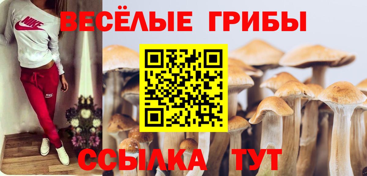 Галлюциногенные грибы мицелий  Вход с VPN  Ржев 